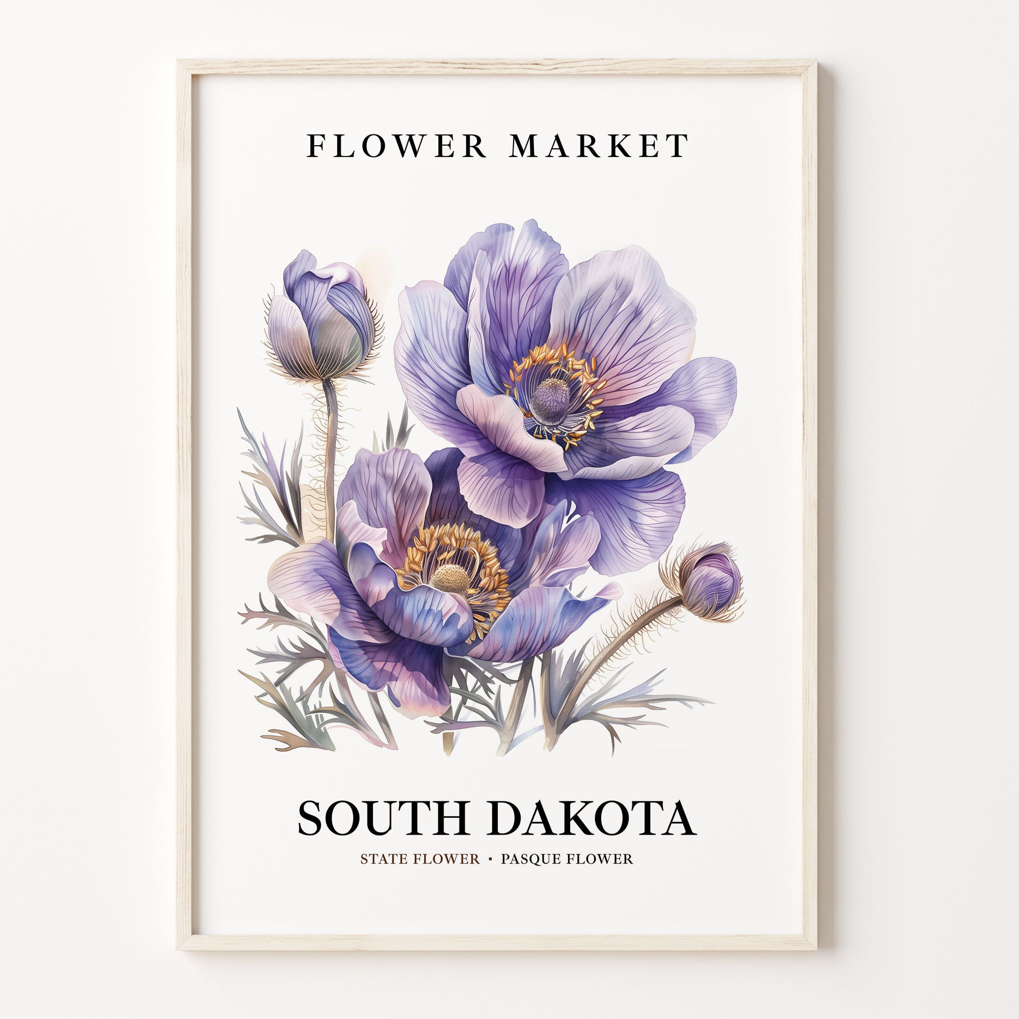 Pasque Flower Art Print: South Dakota State Flower, Botanical