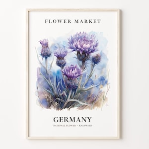 Germany Flower Market Art Print, Knapweed Wall Art, Botanical Pastel Artwork, Germany Flower Decor, Floral Home Decor, C31-410