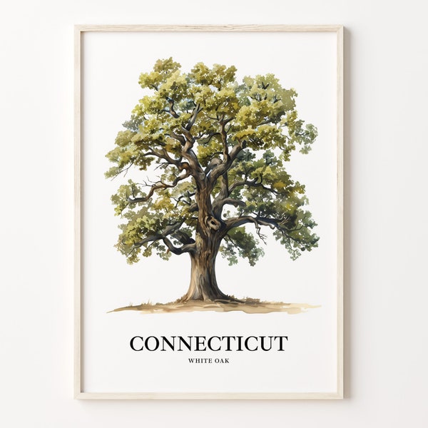 Connecticut White Oak Tree Art Print: State Symbol Wall Decor