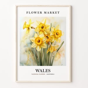Wales National Flower Art Print: 1960s Daffodils Botanical Artwork