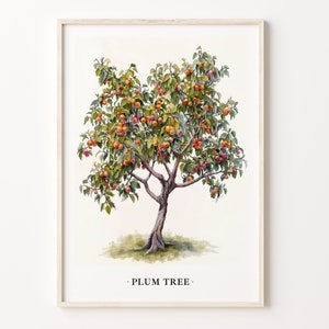 Plum Tree Art Print, Plum Tree Wall Art Poster, Botaniczny wystrój domu, Sztuka ścienna inspirowana naturą, Wystrój sypialni i salonu, C31-507