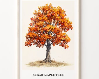 Sugar Maple Tree Art Print: Botanical Illustration, Nature Poster