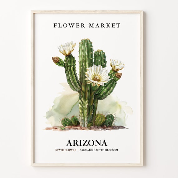 Saguaro Cactus Blossom Art Print: Arizona State Flower, 1960s Botanical  Wall Art - Etsy