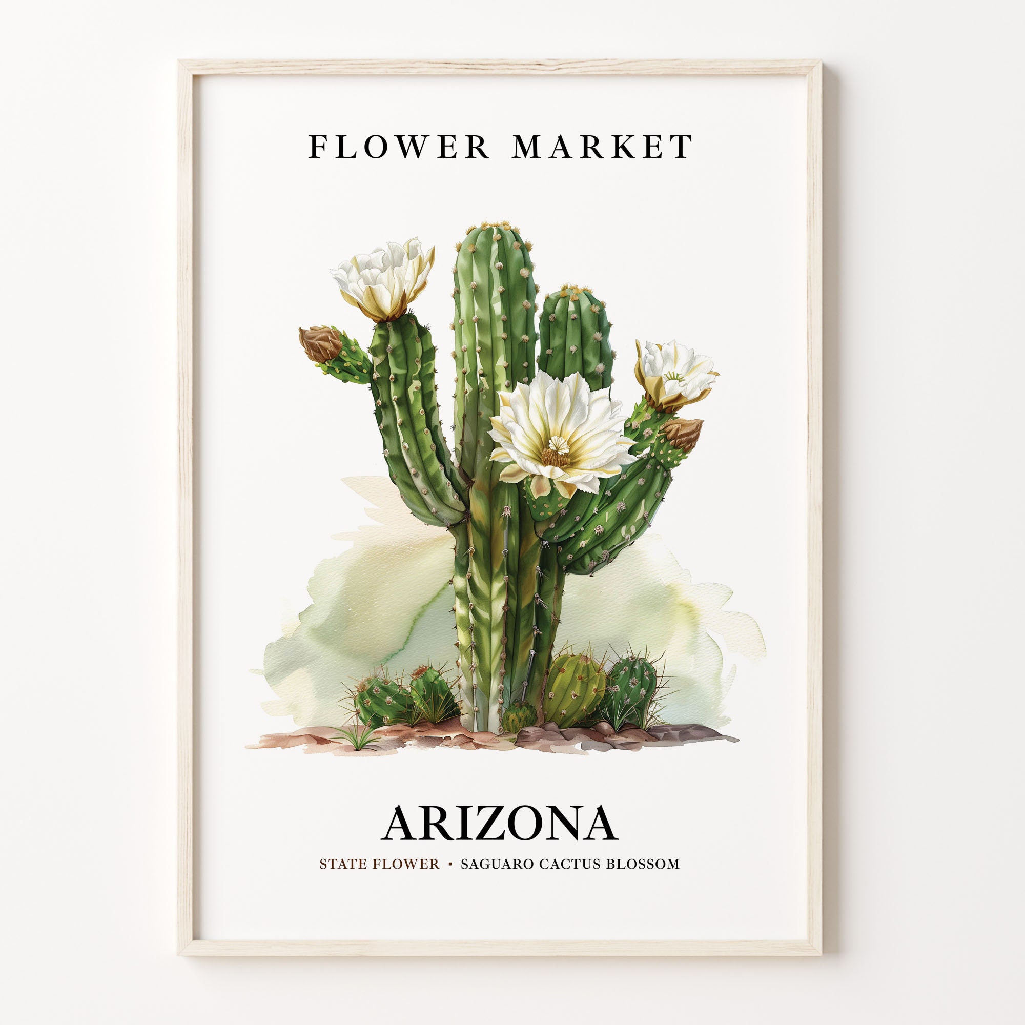 Saguaro Cactus Blossom Art Print: Arizona State Flower, 1960s Botanical  Wall Art - Etsy