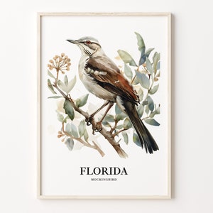 Impresión de arte de aves del estado de Florida, arte de la pared de flores del estado de Florida, decoración del hogar, obras de arte de vida silvestre de Florida, regalo para los amantes de la naturaleza, C31-99