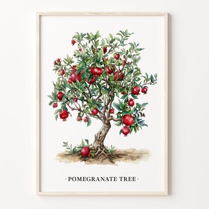 Pomegranate Tree Art Print, Pomegranate Wall Art, Botanical Poster, Kitchen Decor, Pomegranate Illustration, Nature Artwork, C31-506