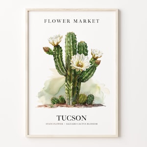 Tucson Blumenmarkt Kunstdruck, Arizona Kaktus Blüte Wandkunst, Pastell Botanisches Kunstwerk, Innendekor, C31-160