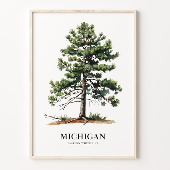 Eastern White Pine Tree Art Print: Michigan State Tree Symbol