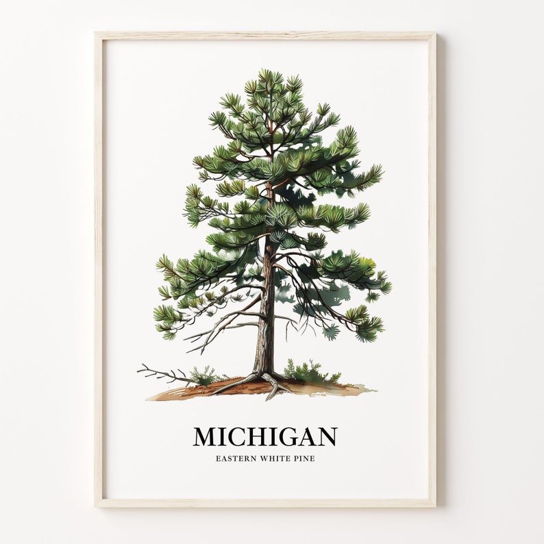 Eastern White Pine Tree Art Print: Michigan State Tree Symbol immagine 1
