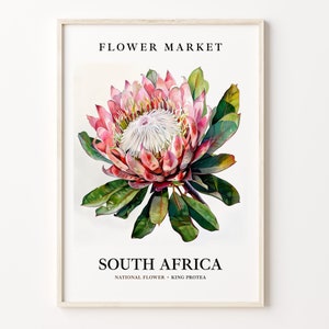 Könnte beinhalten: Ein Poster mit weißem Hintergrund, auf dem eine rosa und grüne Königsprotea-Blume abgebildet ist, die Nationalblume Südafrikas. Das Poster trägt oben den Text "FLOWER MARKET" und unten den Text "SOUTH AFRICA" mit dem Text "NATIONAL FLOWER - KING PROTEA" unter der Blume.