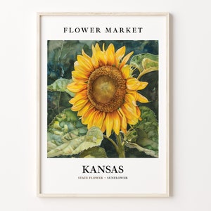 Kansas State Flower Art Print, Sunflower 1960's Wall Art, Neutral Botanical Pastel Artwork, Kansas Flower Market Decor, C31-59
