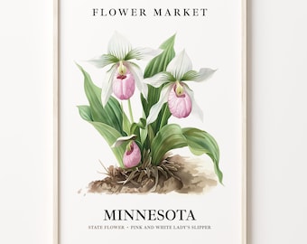 Lady's Slipper Art Print: Vintage Minnesota State Flower, Pastel Botanical