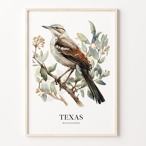 Texas State Bird Art Print, Texas State Flower Wall Art, Home Decor, Texas Wall Art Decor, State Bird Print, C31-102