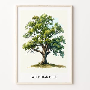 White Oak Tree Art Print, White Oak Wall Art Poster, Nature Home Decor, Botanical Print, Rustic Tree Art, C31-477
