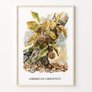 American Chestnut Tree Art Print, Wall Art Poster, Nature Decor, Botanical Illustration, Vintage Tree Artwork, C31-439