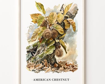 American Chestnut Tree Art Print: Vintage Botanical Illustration