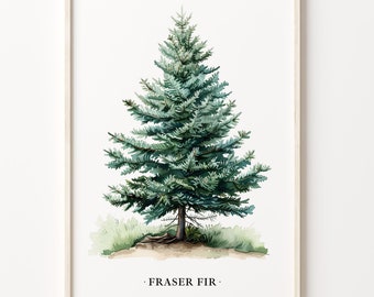 Fraser Fir Tree Art Print: Nature-Inspired Wall Decor