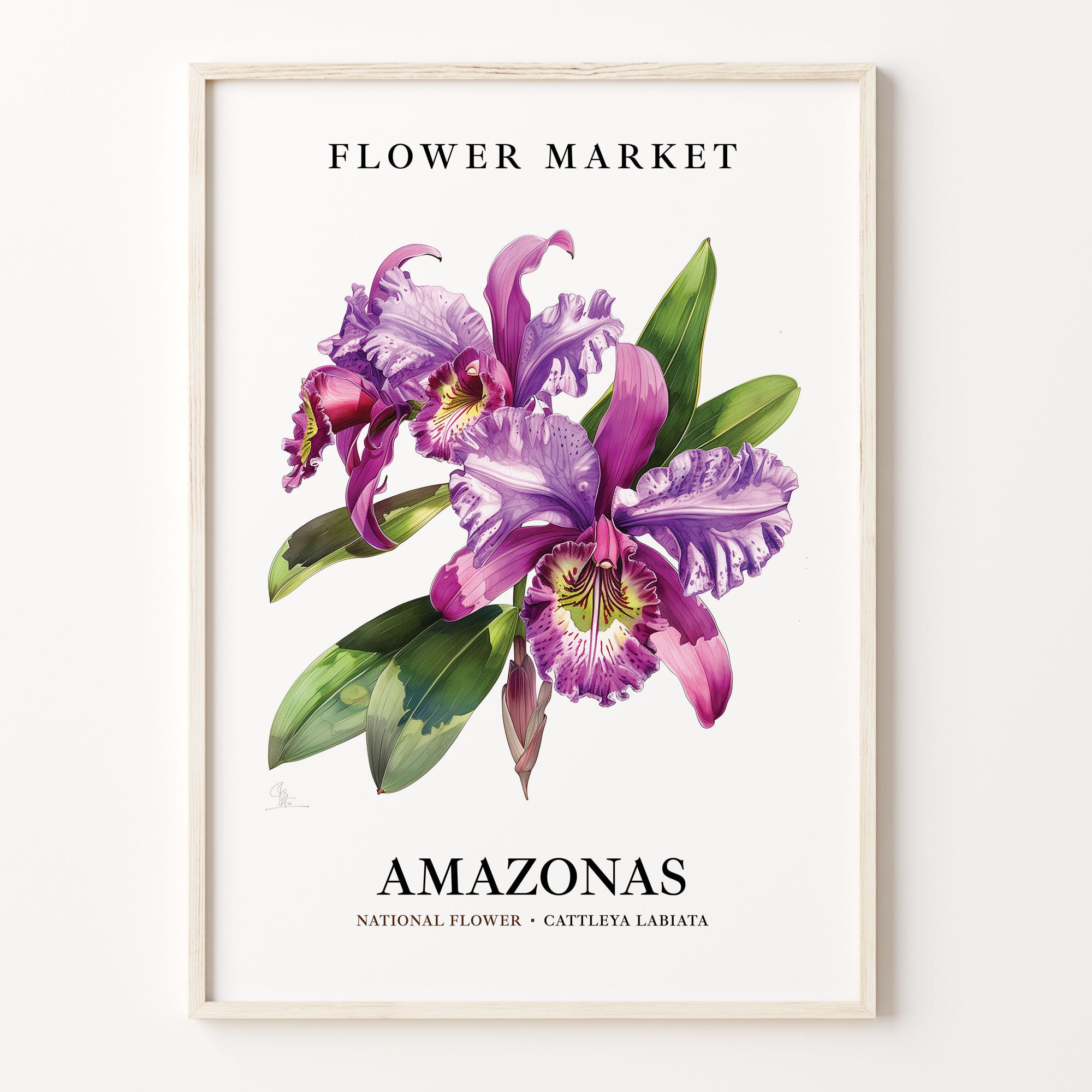 Amazonas Brazil Flower Market Art Print, Botanical Wall Art, Flower Poster, Nature Decor, Home Office Artwork, C31-301