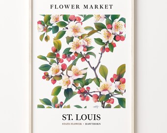 May include: A white background with a floral illustration of white hawthorn blossoms with pink buds. The text "FLOWER MARKET" is at the top and "ST. LOUIS STATE FLOWER - HAWTHORN" is at the bottom.