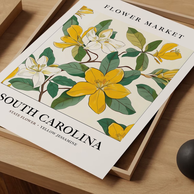 Yellow Jessamine Art Print: South Carolina State Flower, Botanical Pastel 画像 7