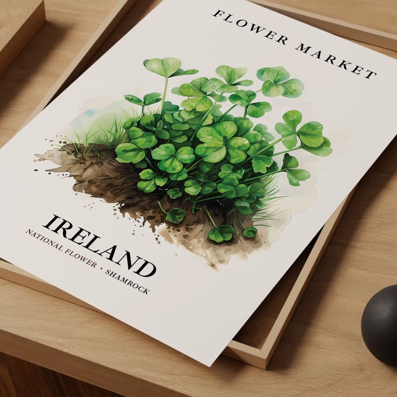 Shamrock Art Print: Ireland National Flower, Botanical Pastel Decor image 7