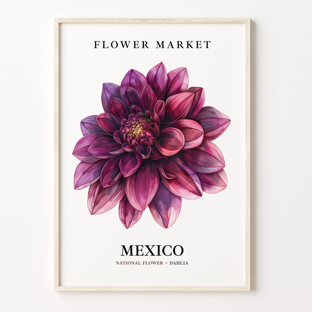 Mexico National Flower Art Print: Vintage Dahlia Botanical Artwork - Etsy