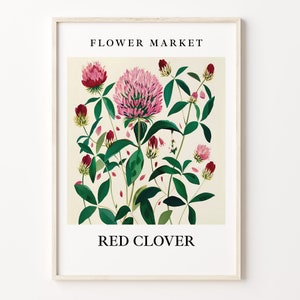 Red Clover Flower Market Art Print, Botanical Pastel Wall Art, Red Clover Artwork Decor, Nature-Inspired Print, C31-357