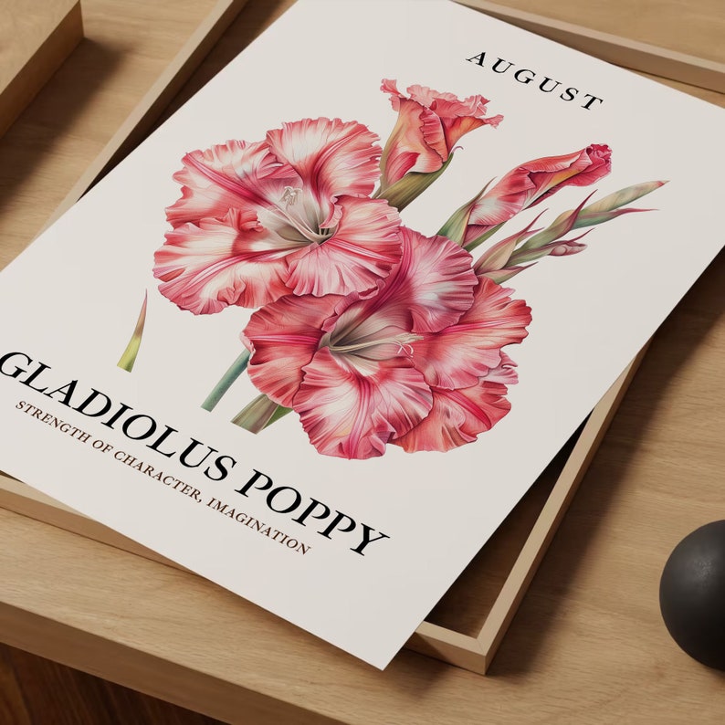 August Flower Art Print: 1960s Gladiolus & Poppy Poster image 7