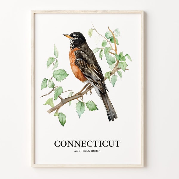 Connecticut State Bird Art Print: Robin & Mountain Laurel