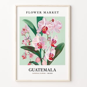 Guatemala Flower Market Art Print, Orchid Wall Art, Botanical Pastel Artwork, Guatemala Flower, Floral Decor, C31-304
