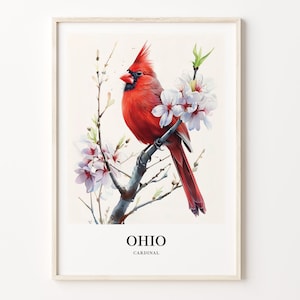Impresión artística de aves del estado de Ohio, arte de pared con flores del estado de Ohio, decoración del hogar, arte de pared de Ohio, decoración del estado de Ohio, C31-124