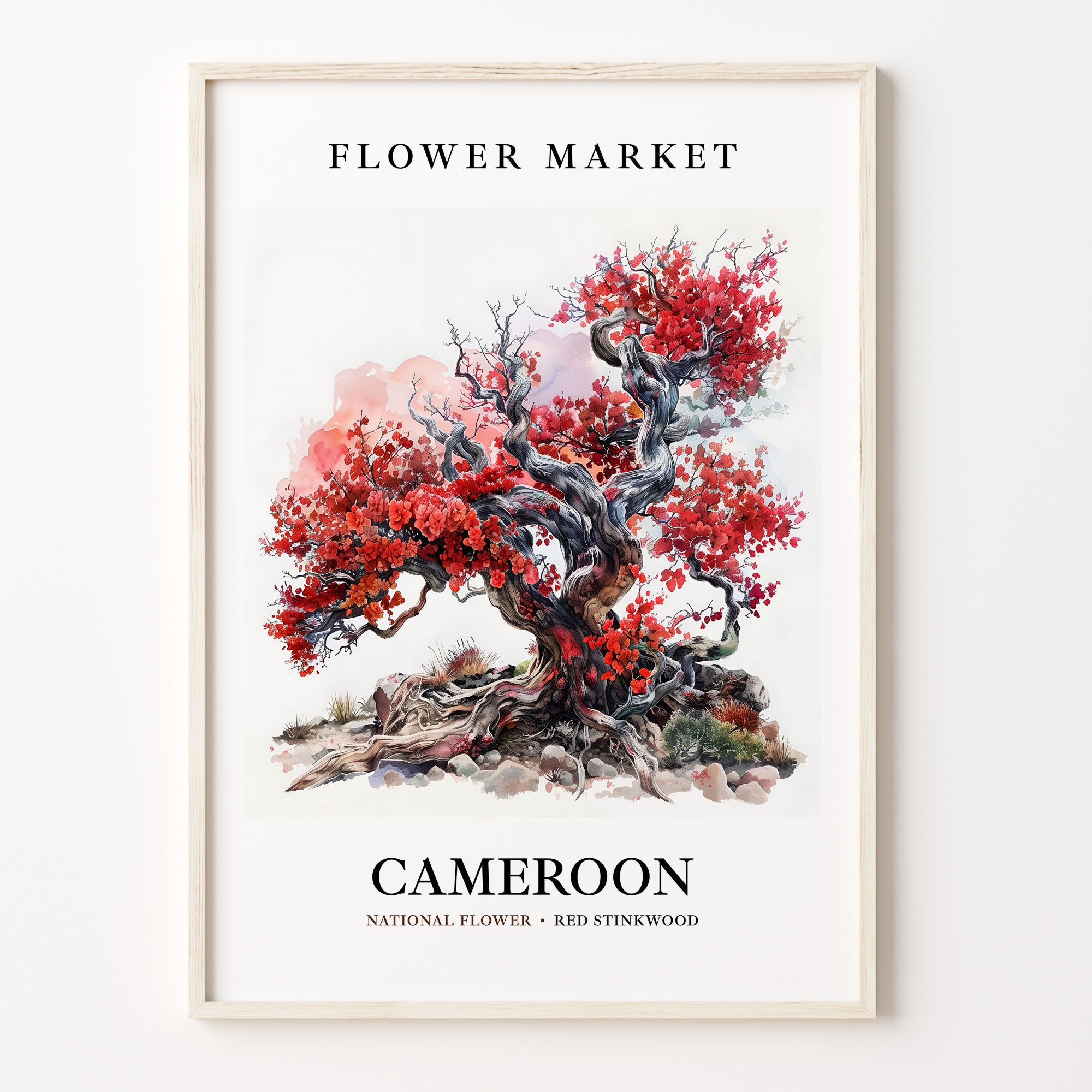 Red Stinkwood Art Print: Cameroon Flower Market Botanical Artwork