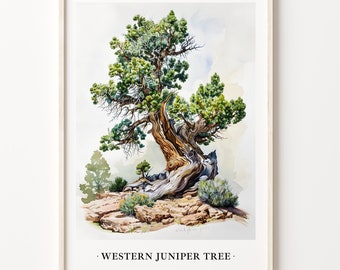 Könnte beinhalten: Ein Aquarellbild eines Western-Wacholders mit einem knorrigen Stamm und Ästen. Der Baum wächst auf einem felsigen Hang mit grünem Laub. Das Bild trägt den Titel "WESTERN JUNIPER TREE".
