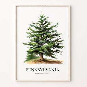 Pennsylvania State Tree Art Print, Eastern Hemlock Wall Art, Botanical Decor, State Symbol Artwork, Nature Lover Gift, C31-2