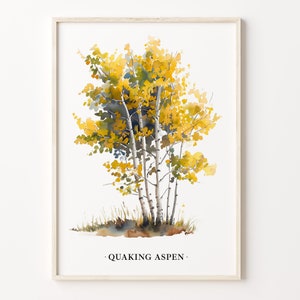 Quaking Aspen Tree Art Print, Aspen Wall Art Poster, Nature Decor, Landscape Art, Home Decor, Gift for Nature Lovers, C31-465