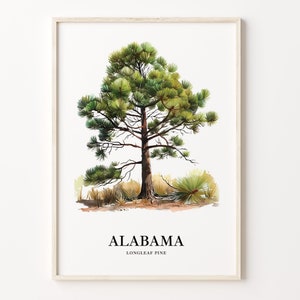 Alabama Longleaf Pine Tree Art Print, State Tree Symbol Wall Art, Alabama State Tree Artwork Decor, C31-12
