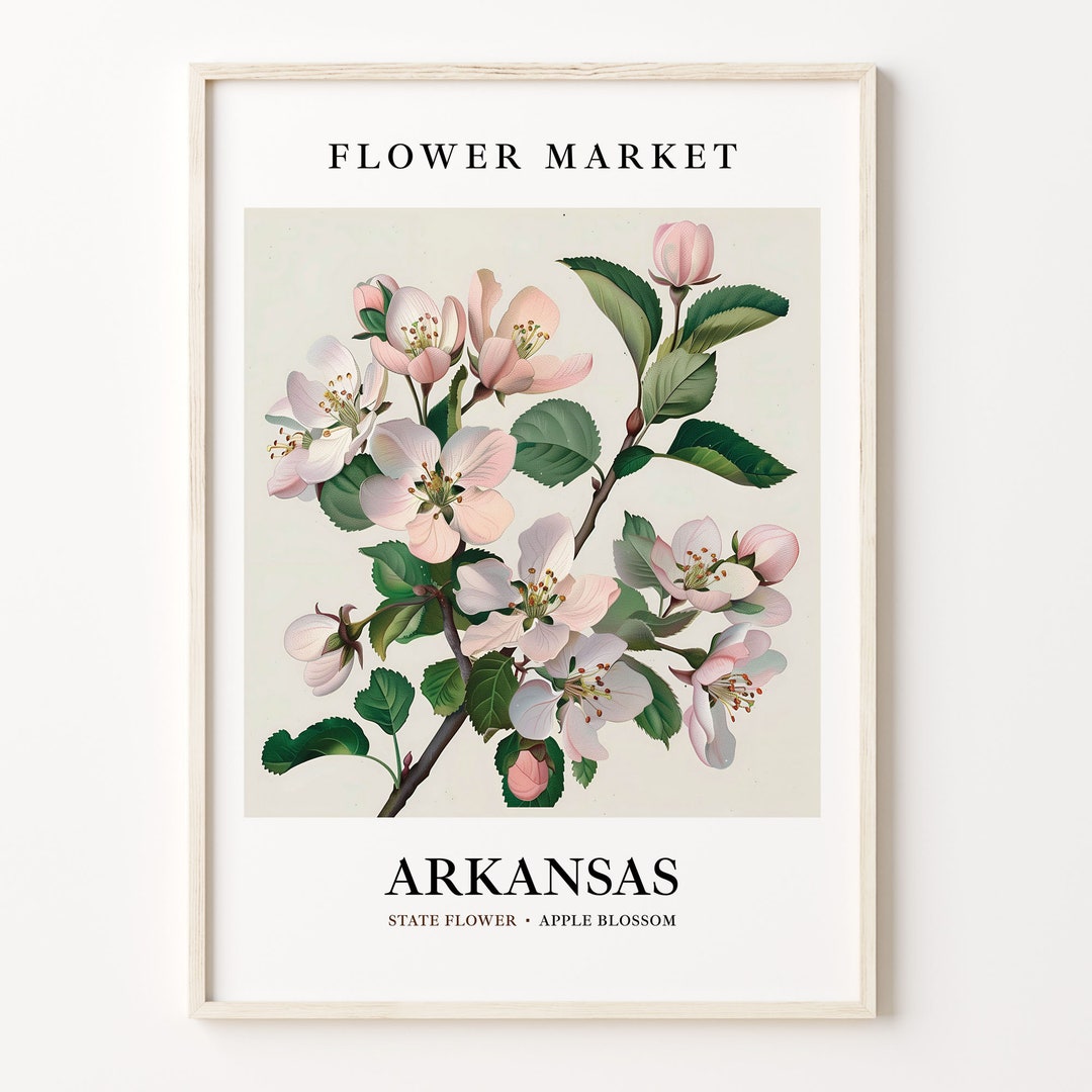 Arkansas State Flower Art Print, Apple Blossom 1960's Wall Art, Neutral ...