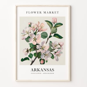 Arkansas State Flower Art Print, Apple Blossom 1960's Wall Art, Neutral Botanical Pastel Artwork, Arkansas Flower Market Decor, C31-77