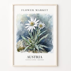May include: A watercolour illustration of the Edelweiss flower, the national flower of Austria. The illustration is set against a blue and grey watercolour background. The text "FLOWER MARKET" and "AUSTRIA" is printed in black at the top and bottom of the image, respectively. The text "NATIONAL FLOWER - EDELWEISS" is printed in black below the word "AUSTRIA".