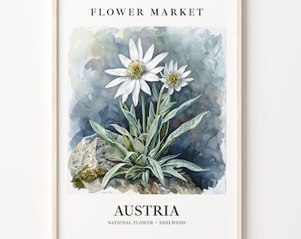 Edelweiss Art Print: 1960s Austria National Flower Market Decor