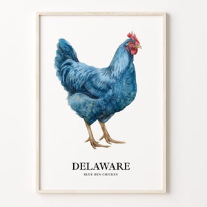 Lámina artística con pájaros y flores del estado de Delaware, arte mural de Delaware, decoración del hogar, obra de arte con temática del estado, C31-129