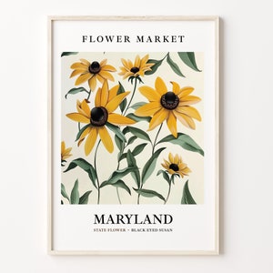 Maryland State Flower Art Print, Black Eyed Susan, 1960's Wall Art, Neutral Botanical Pastel, Maryland Flower Market Artwork, C31-53