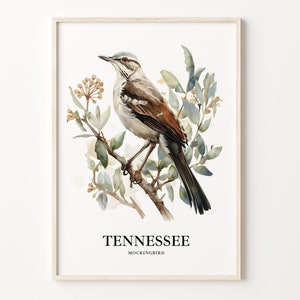 Tennessee State Bird Art Print, Tennessee State Flower Wall Art, Home Decor, Tennessee State Art, Nature Illustration, C31-119