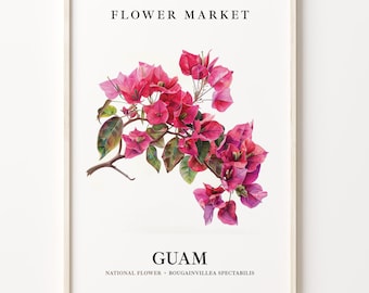 Guam State Flower Art Print: Bougainvillea Botanical Wall Decor