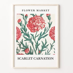 Scarlet Carnation Flower Market Art Print, Botanical Pastel Artwork, Scarlet Carnation Wall Art Decor, C31-358