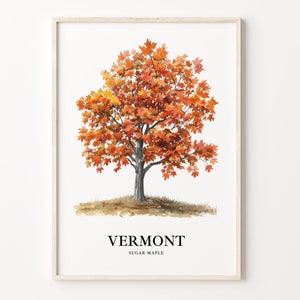 Vermont Sugar Maple Tree Art Print, State Tree Symbol Wall Art, Vermont State Tree Artwork Decor, C31-33