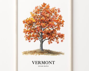 Vermont Sugar Maple Tree Art Print: State Symbol Wall Decor
