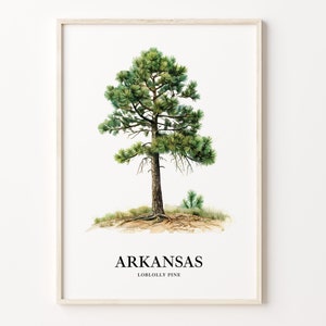Arkansas Loblolly Pine Tree Art Print, State Tree Symbol Wall Art, Arkansas Pine Tree Artwork, Home Decor, C31-6