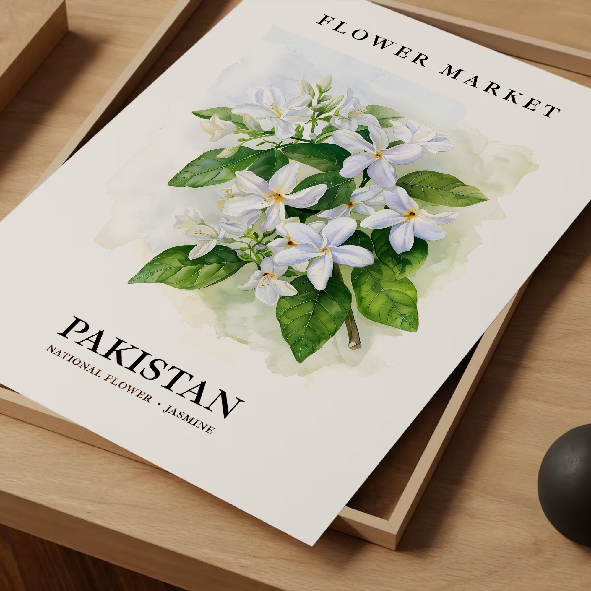 Jasmine Flower Art Print: Pakistan National Flower, Botanical Pastel - Etsy