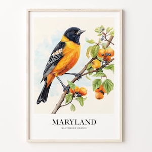 Impresión artística de aves del estado de Maryland, arte de flores del estado de Maryland, decoración de pared de Maryland, decoración del hogar, obras de arte del estado, C31-96